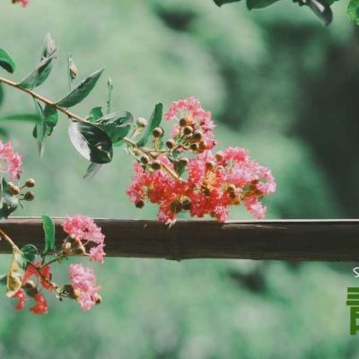 博鱼·体育app(中国)官网入口-手机版app下载