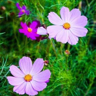 万博ManBetX登录网页版app下载